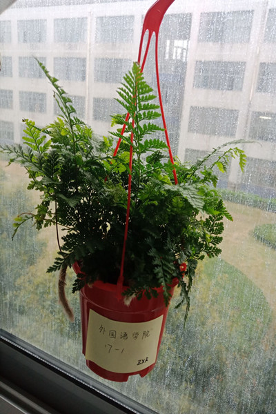 20180427153415581624.jpg QQ图片20180427114954.jpg