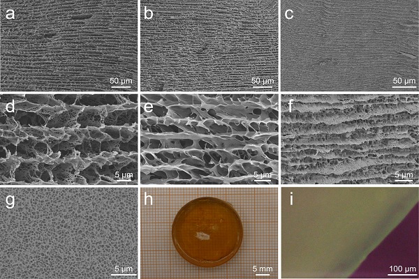 20190527152403383883.jpg Figure 2.jpg