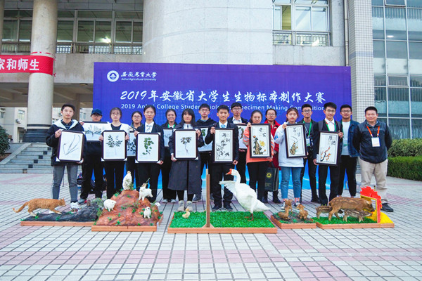 20191125102356810953.jpg 2019年安徽省大学生生物标本制作大赛.jpg