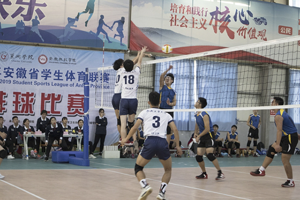 20191114105804243097.jpg 2 应用.jpg