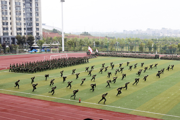 20150924140643283767.jpg 55dfd445-ab6c-4ab3-82e9-7c3dfa54ba4b.jpg