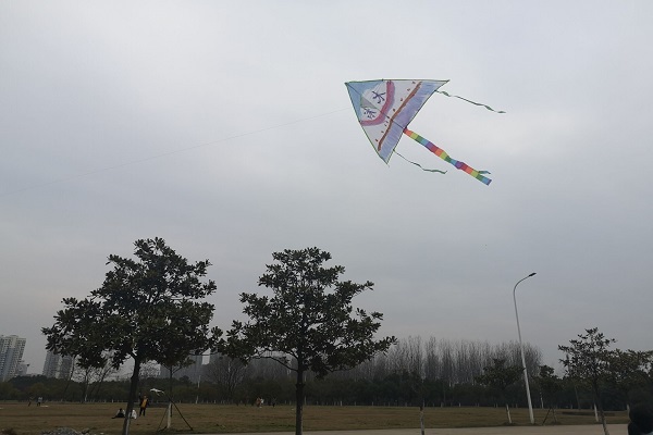 20190329095513456547.png 1.png