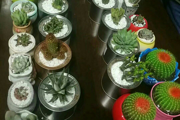 20180502222752938572.jpg