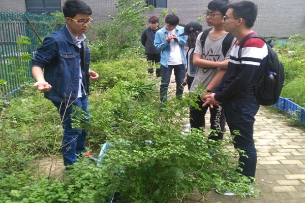 Cache_-3b17af167add4d6c._看图王.jpg