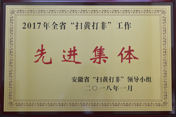 20180417172213835576.jpg 扫黄打非奖牌.jpg