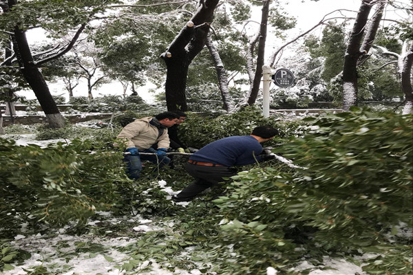 20180105181015206556.jpg 支部活动2_副本.jpg