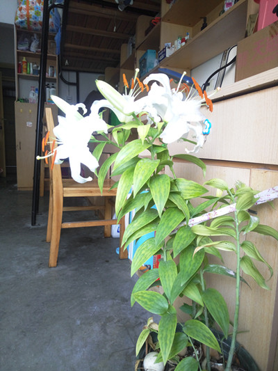 20160701094430451141.jpg