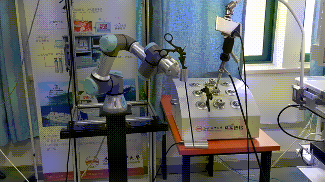 20190913093236634979.gif 00301012555_094df0f6.gif