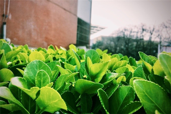 20180329125915232875.jpg 2_.jpg